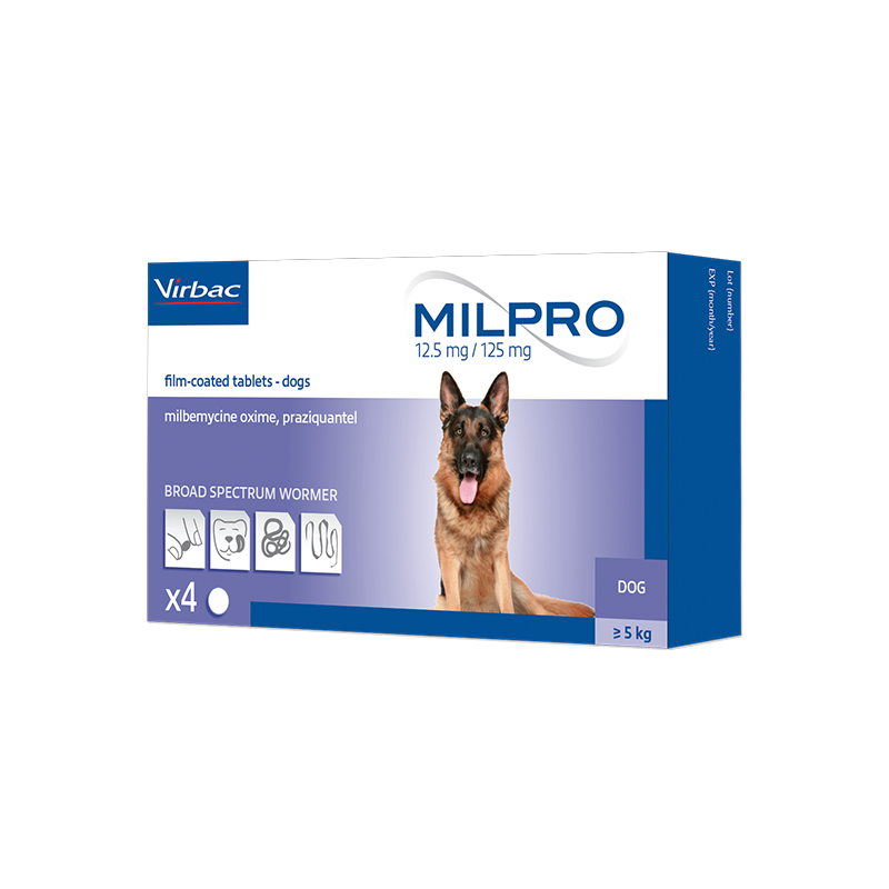 Milpro dog 12.5 mg/125 mg